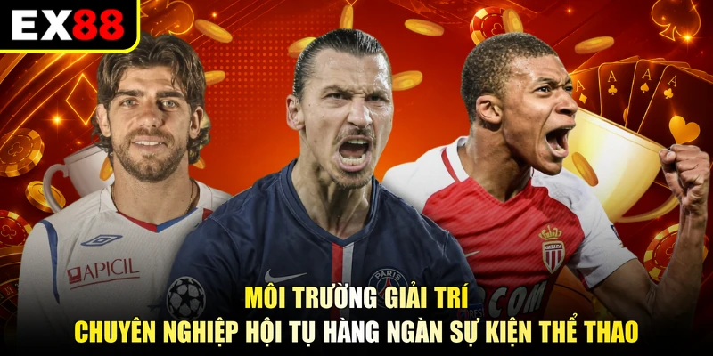 Môi trường giải trí chuyên nghiệp hội tụ hàng ngàn sự kiện thể thao
