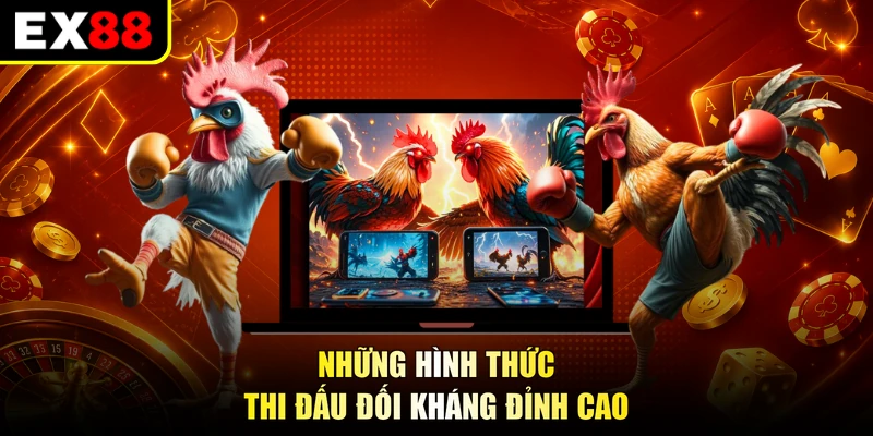 Những hình thức thi đấu đối kháng đỉnh cao